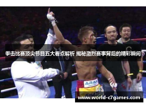 拳击比赛顶尖节目五大看点解析 揭秘激烈赛事背后的精彩瞬间