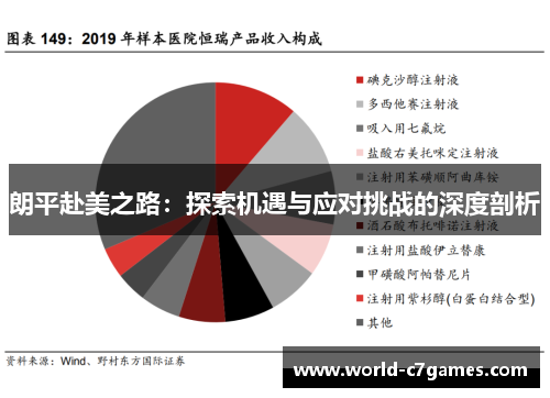 朗平赴美之路：探索机遇与应对挑战的深度剖析