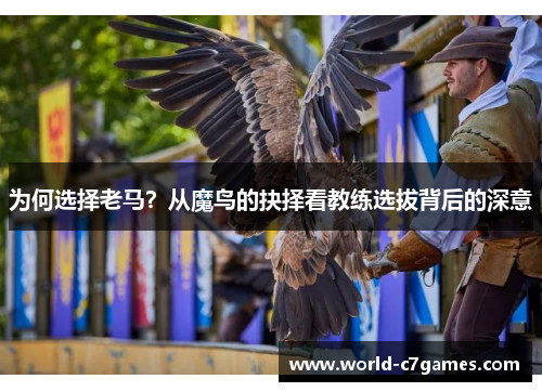 为何选择老马？从魔鸟的抉择看教练选拔背后的深意
