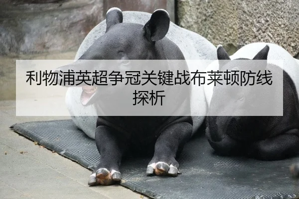 利物浦英超争冠关键战布莱顿防线探析